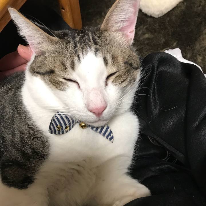 6776f0ca 2cbe 47a8 8c33 2ef03f8f0486 1510483269291