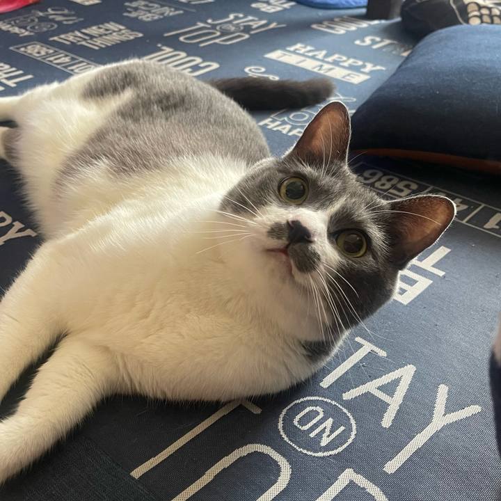 67772730 9372 4227 82c4 b09aec2c1f50 1722984298987