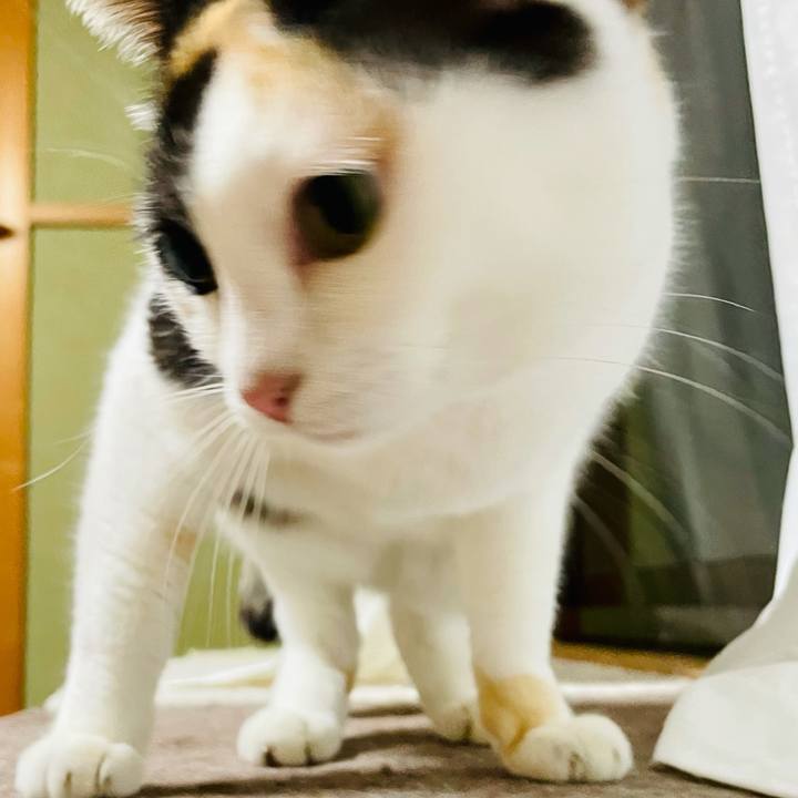 67775b39 38dc 4ece b242 55f46fa8db02 1618626387606