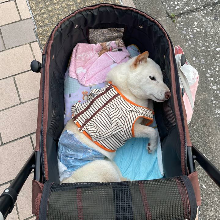 67775b72 e72f 4190 a297 25786a234a12 1657974664426