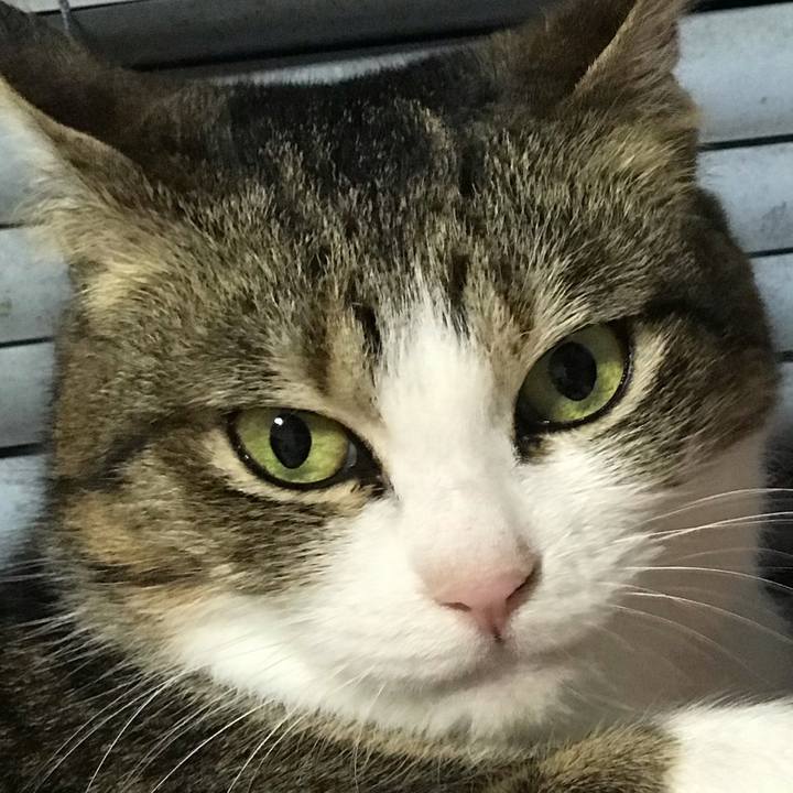 6777648d 2664 43c9 8dbf 7484d4fd0e52 1616207427703