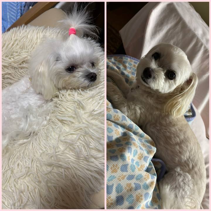 67777461 df12 4938 b912 664b182db385 1750072005889