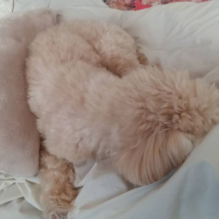 6777cfd2 33ed 4edc 9a75 3eeaec5c9e74 1636786509879