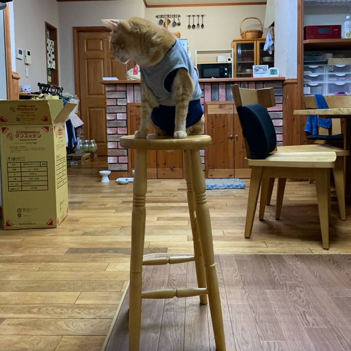 6777ee30 727f 44e8 bb69 f5aebb4f4fc7 1632925848595