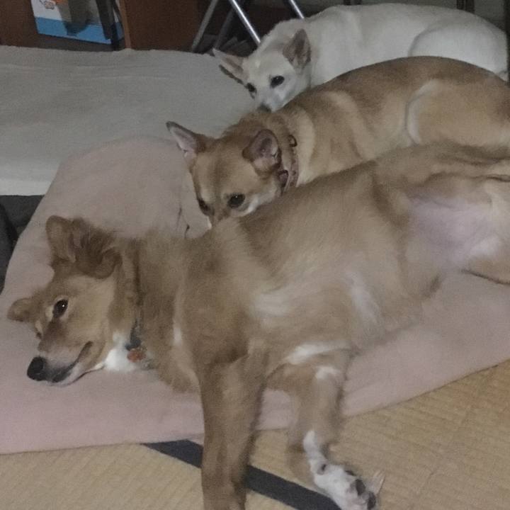 6777f63c 15f1 4011 b723 eb92e08e49b8 1537615885678