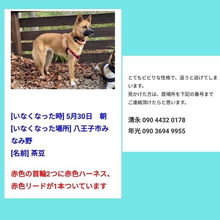 67781ccc 7ed6 43e7 b609 efb493e76646 1622432621365