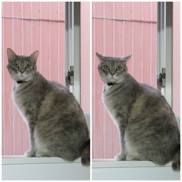 67782c08 fbf2 4b94 9562 8d60eac67fc6 1582605178919