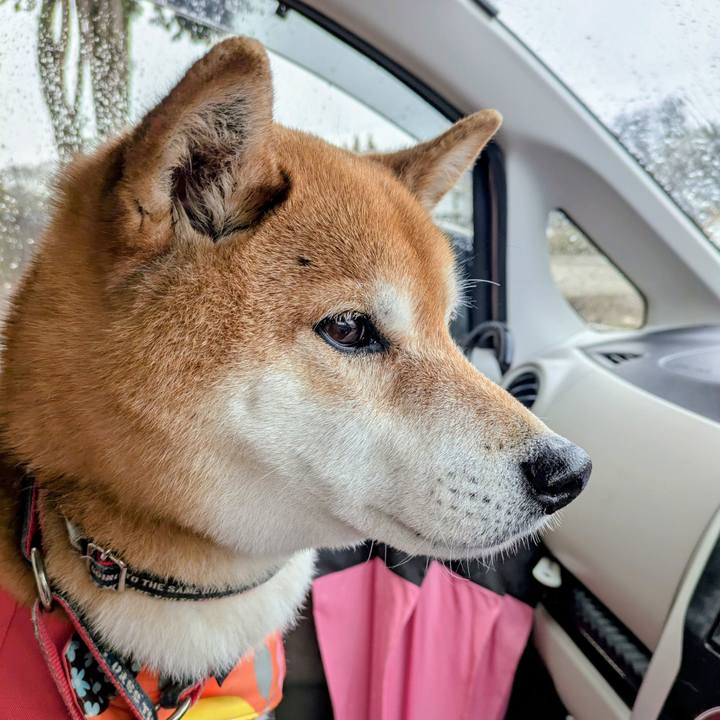 67782e56 b835 4f99 8921 b648f32865fb 1773201708893