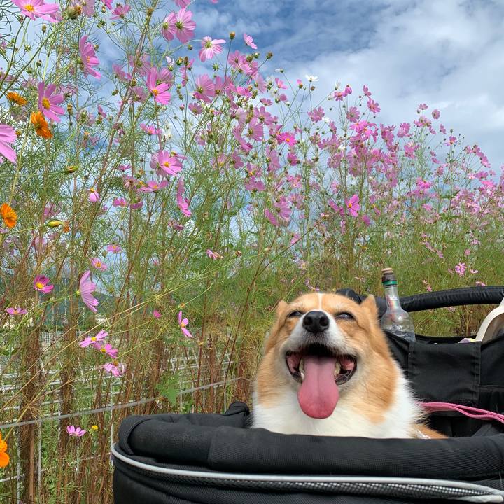 67784c72 fefa 4ea3 8e2d f016e1ed81b5 1632789991849