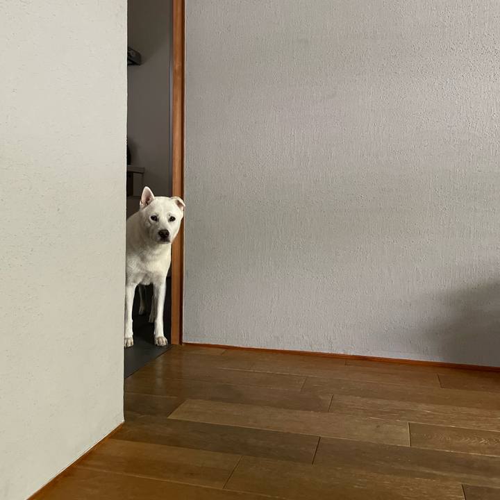 67784e59 a1cc 41f3 893f fe48be29c305 1754304498062