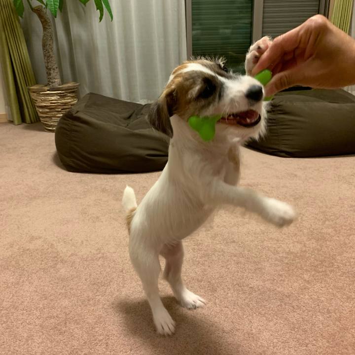 67787b61 d5f0 4b37 8200 c274e0ae478a 1561035513172