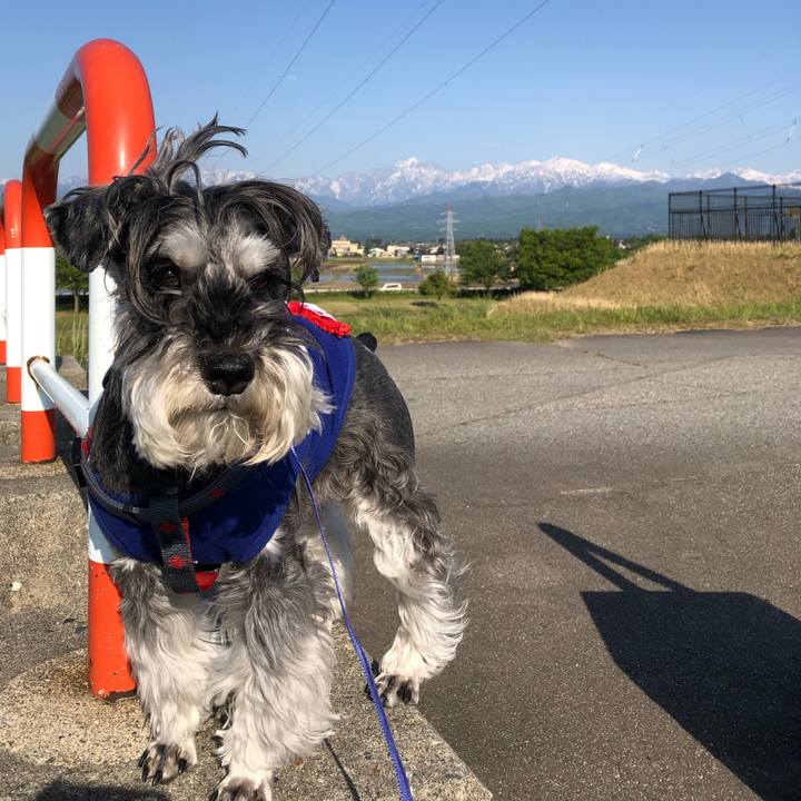 677897d1 efae 4d8f 8933 c331578b9e98 1683037847675