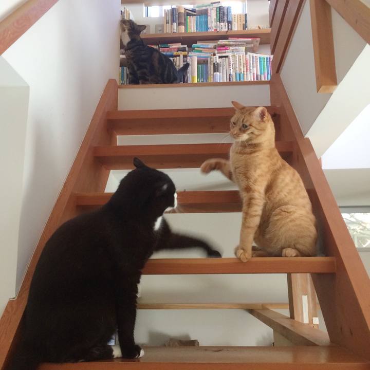 67789880 63dd 456a 97cd fad592e9aa16 1558830845908