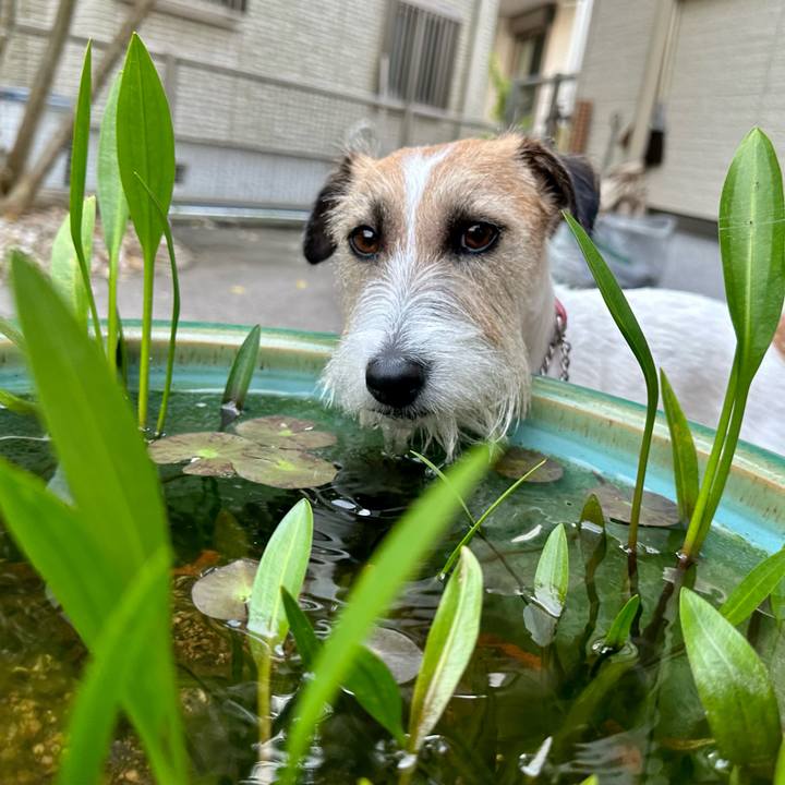 6778a529 545a 42e6 a7a6 8992cde50f5c 1687086978837