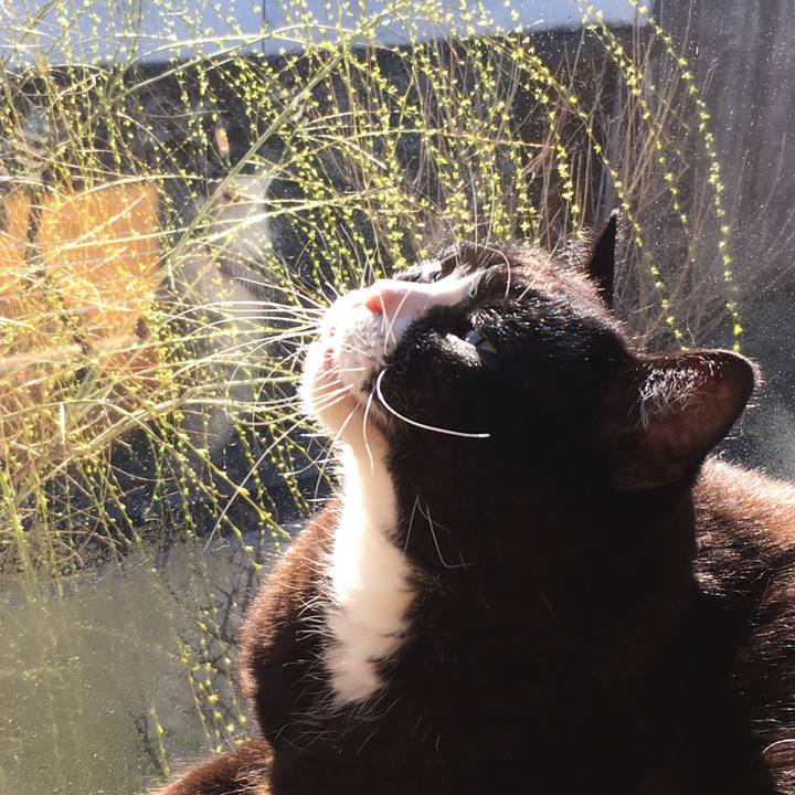 6778ab95 002a 42da a1c8 799facad099b 1552001689149