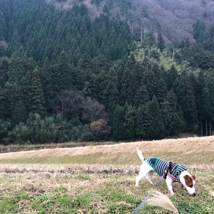 6778c7ad eafe 4958 8c0d 84d9981904e6 1545379881555