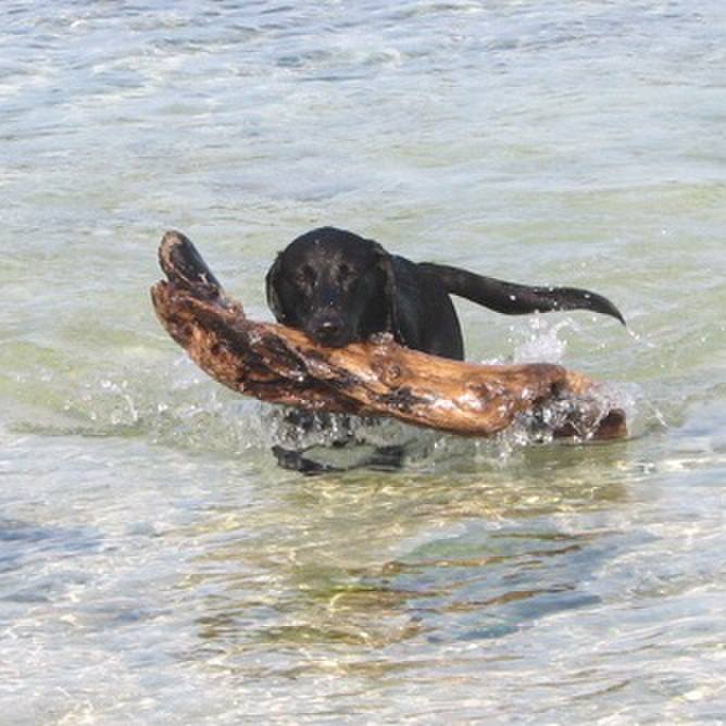 6779209c 665f 45cb 8350 1e123ea65518 1542634305544