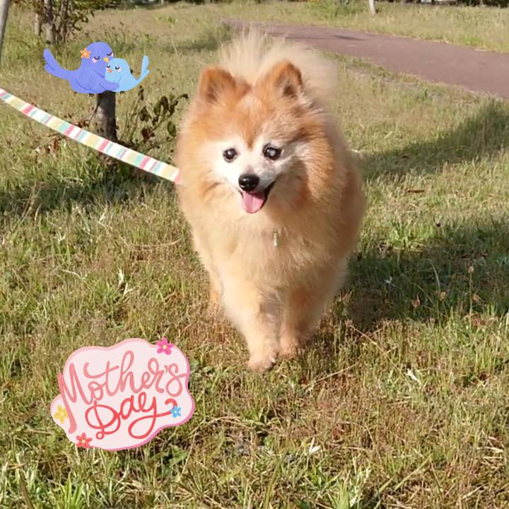 67792210 01f7 4108 829a 60c16b75738f 1620547711430