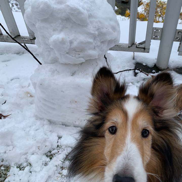 677931c1 ba70 4074 99a0 628e0f66bcfa 1606469387328