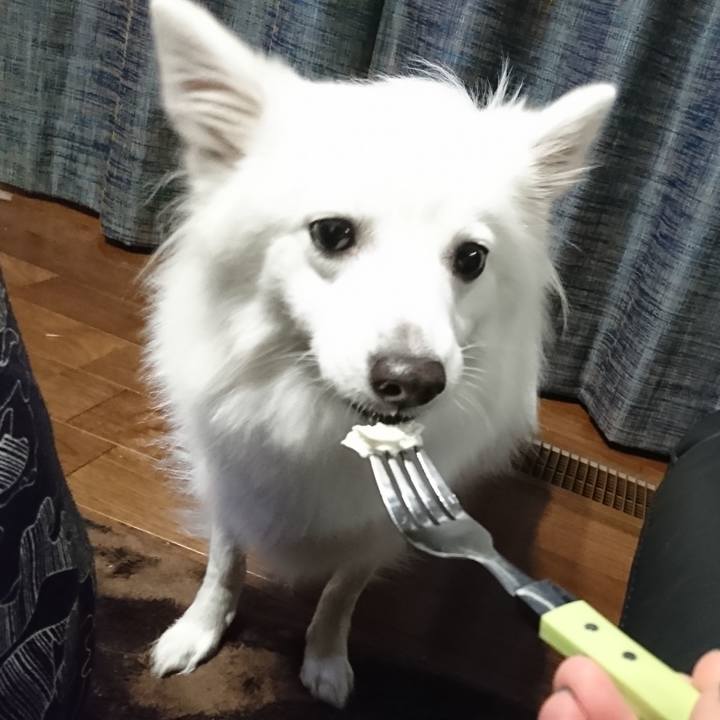 67794024 0772 48a2 845c 0e5a4c51853c 1545483668138