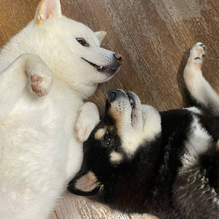 677990c6 a8f3 473c b56f b34ffe000b35 1629011548780