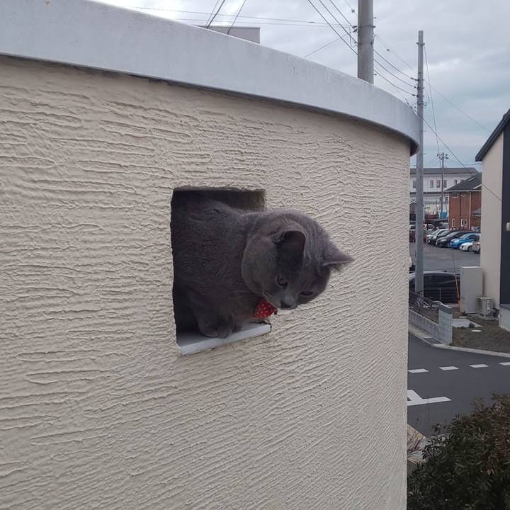 6779f80f ea42 4faa 8afc 55cf5d117ff0 1547625627088