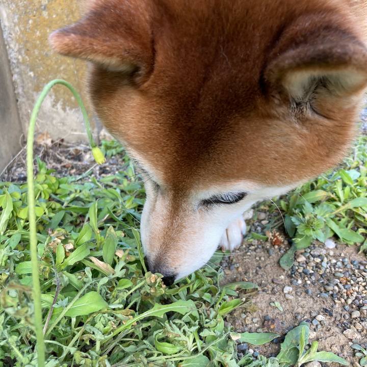 677a10e3 99ea 467c ab18 23e3de620e0a 1680774305811