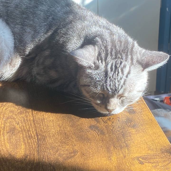 677a1c19 3592 4c6e 8f01 cf36bcccd87a 1764463856592