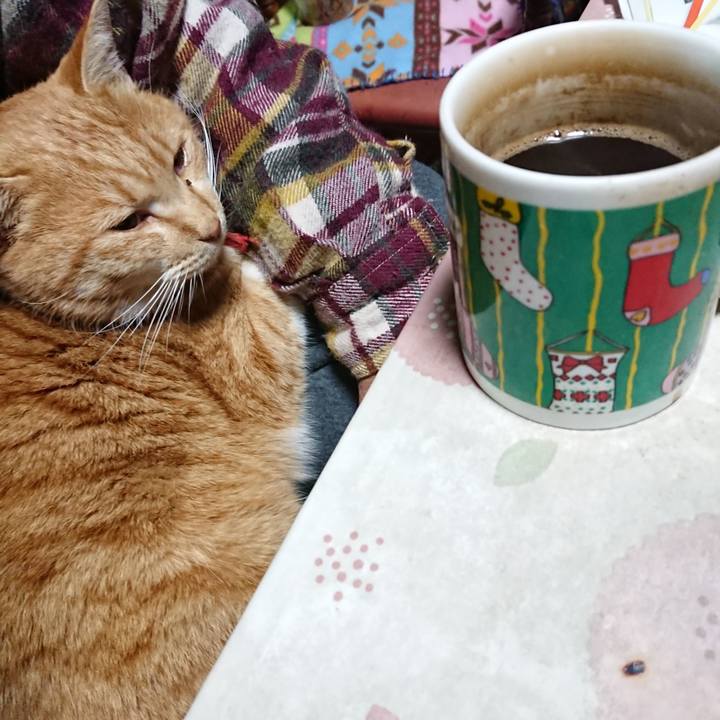 677a5031 b20a 4dc6 b62e 35c8dd99c0aa 1576274249583