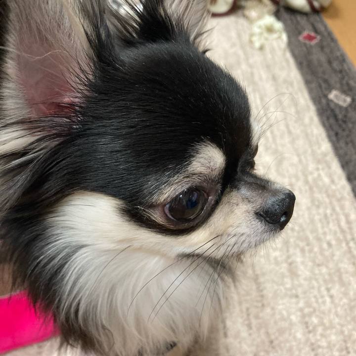 677a57f4 9af3 467b a342 4f013e05db1e 1610887973173