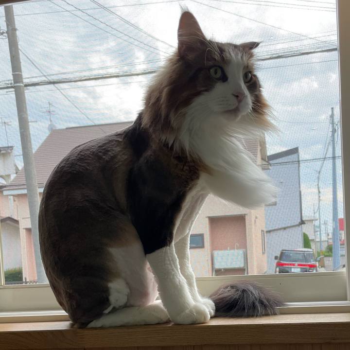 677a66c5 8c64 4c69 a0be 8e7e7ec1258f 1719136793939