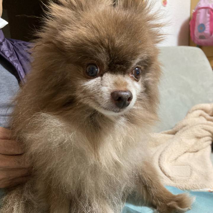 677ad70a 75f0 4c24 ad49 079e3212e5ce 1701929158036