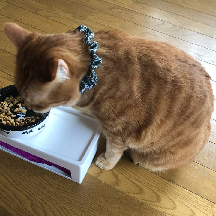 677afda8 ce68 475f a124 0237fcaf86f9 1588108211060