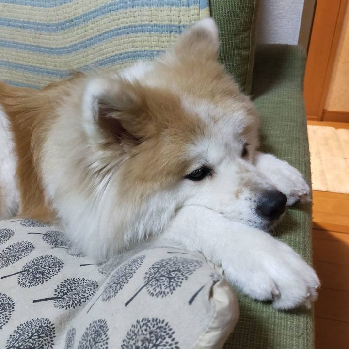 677b2228 8dee 4e28 b7af bc97b1e0c64b 1633005288258