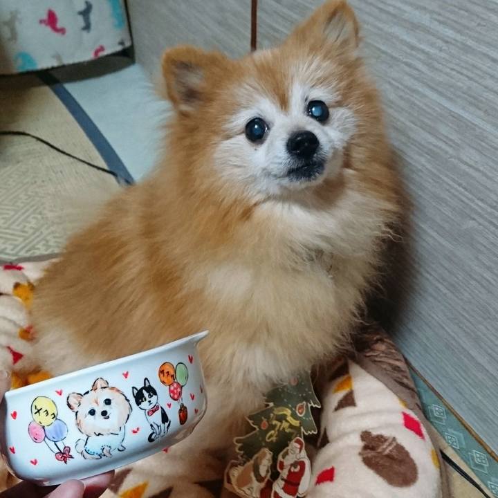 677b2dab 4bc0 4378 92d0 d8d5b7f796f7 1577225124259