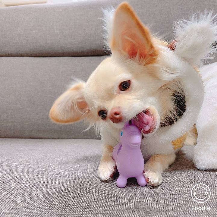 677b431c 83a3 475e 8e75 2df24541139c 1608351945541