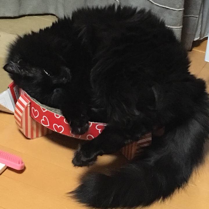 677b5bae c80c 430e 9ed3 25f747ea87b0 1553002068096