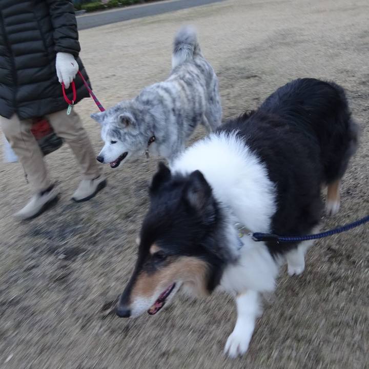 677b6050 0cf1 411f 8b4e 7c80debfc12b 1578315520642