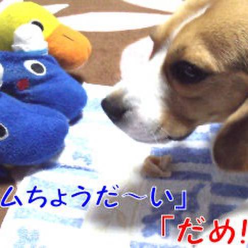 677b6878 09bd 4ab6 a83d 5512a6a282d2 1711845658501