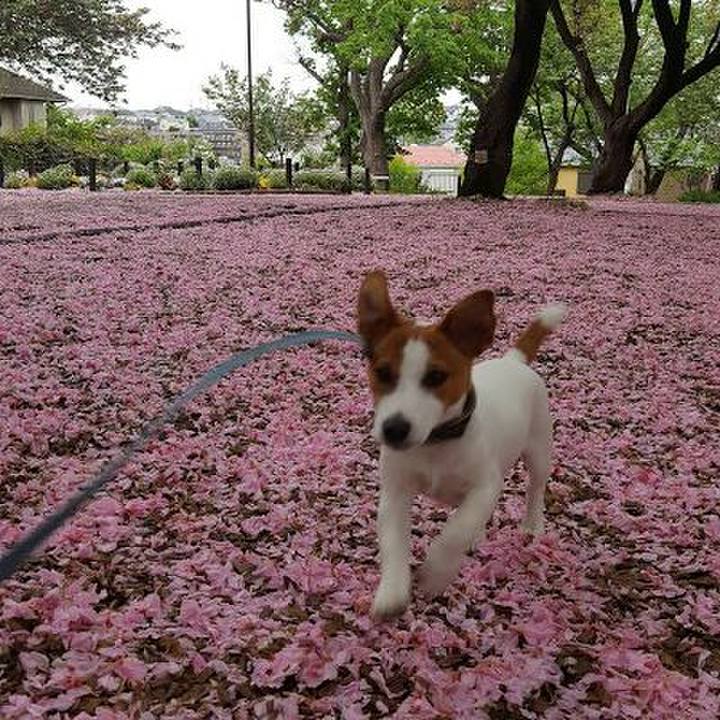 677b79ff 4e58 4117 92eb 22d78f0de737 1556431703538