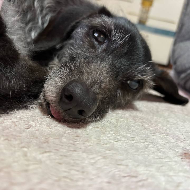 677baa1c dffa 4a57 bba7 dcff781075e1 1742599401513