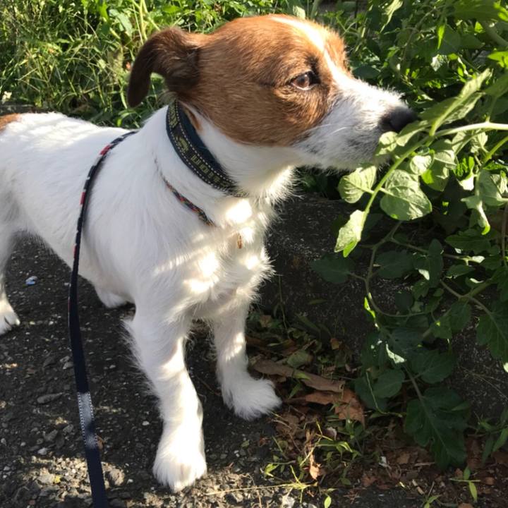 677bbd62 1bee 45b2 9437 7fb3764f1553 1508765341973