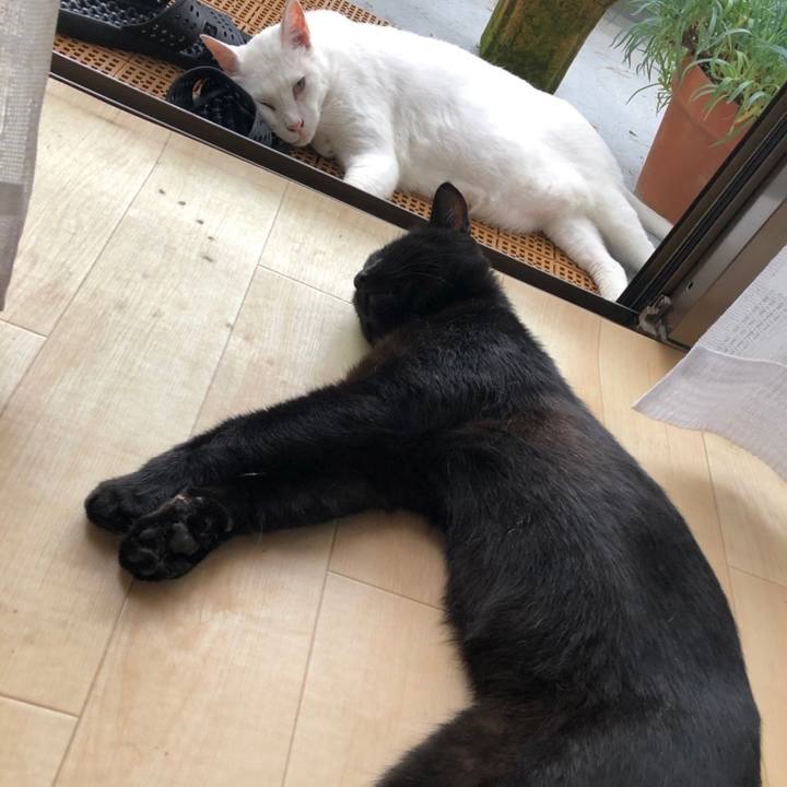 677bc779 fd92 49f8 99b1 0d03ff9797ab 1658134631789