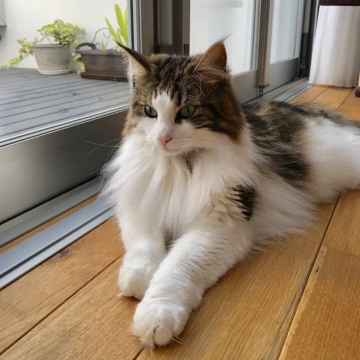 677be802 bb76 4022 acec 044832fcd832 1531613121188