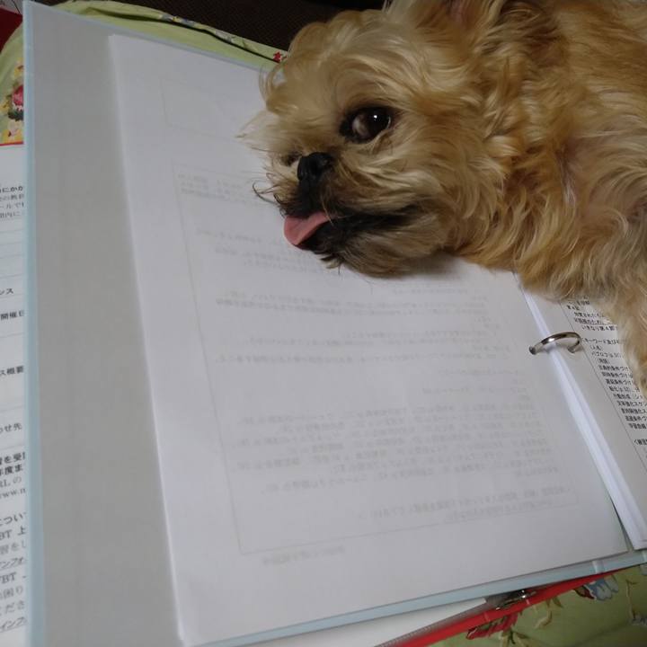 677c13ee 635b 4127 baed b8628a0a07f9 1602582879806