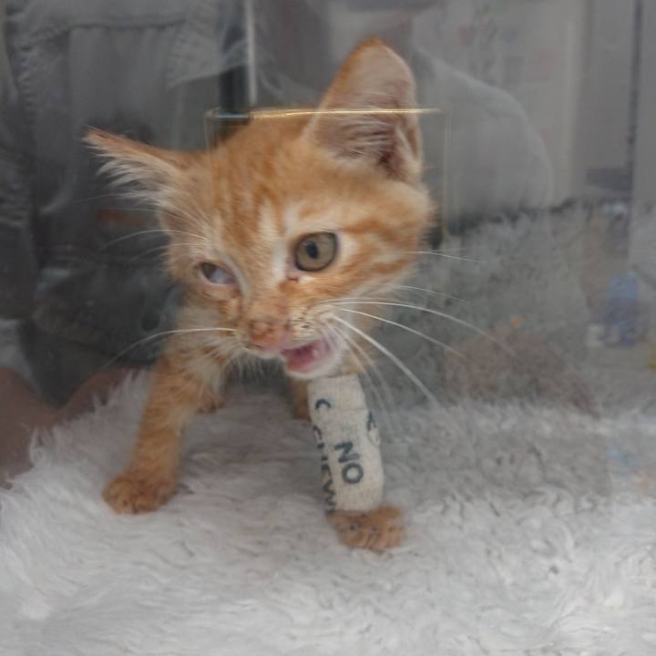 677c80fc 4507 4af2 87f1 bc69c93d6f0c 1627639555172