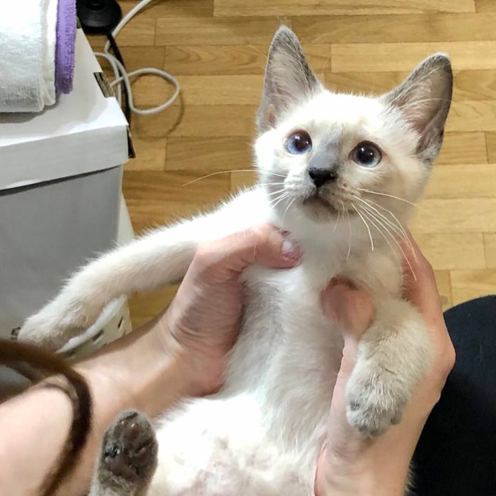 677cb306 c74f 4abb 9ee4 403b91a17479 1571044793830