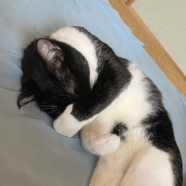 677cc325 3458 4186 97f9 5db843788160 1697975739648