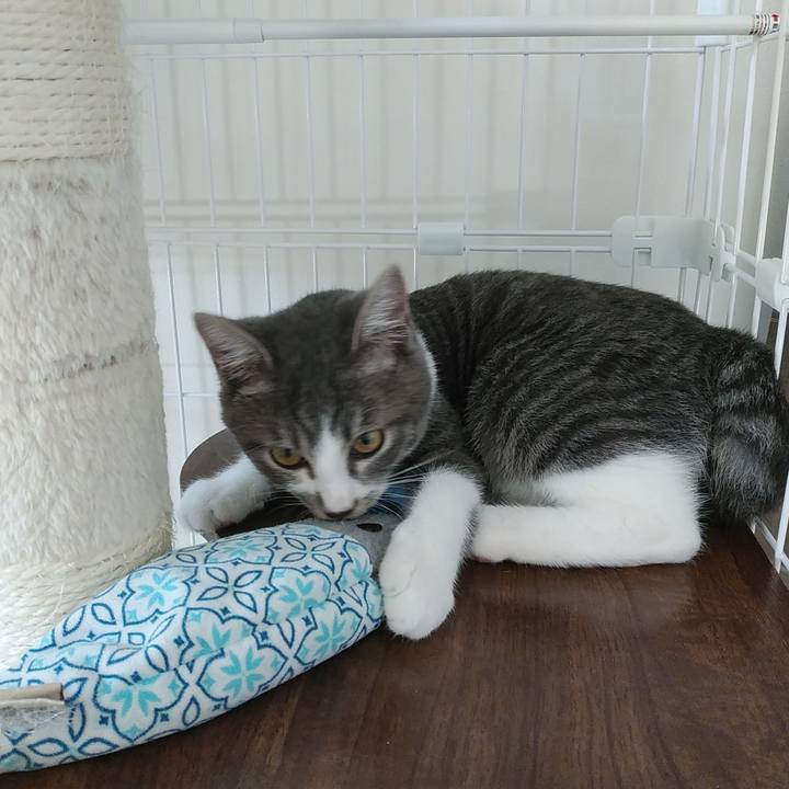 677cc707 67db 424b 8e18 714e02e5c9be 1567896785120