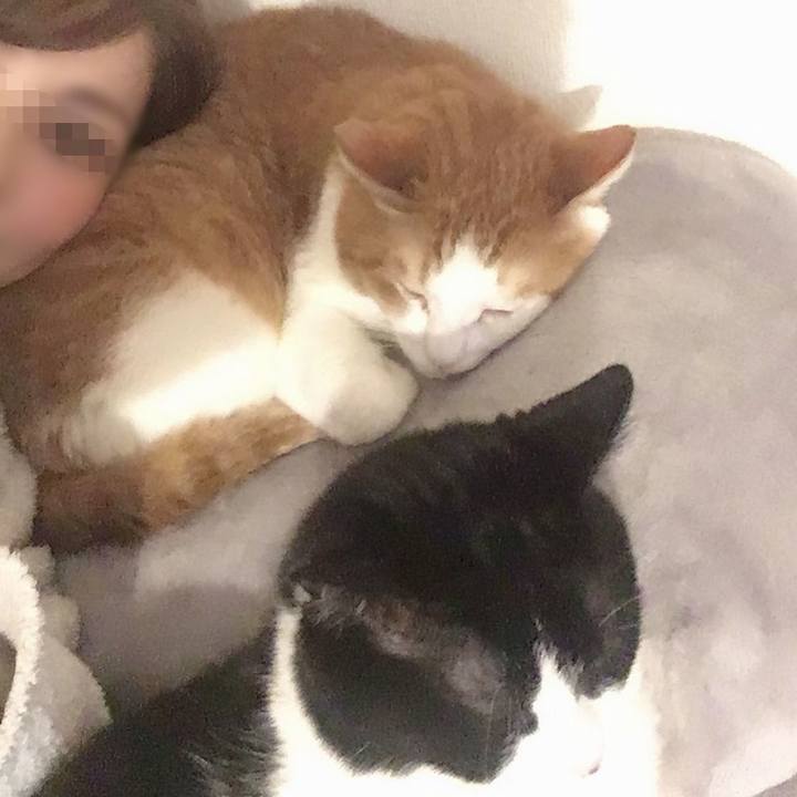 677cd0d9 de61 4dcb 944b 95c8bb032581 1577456637375